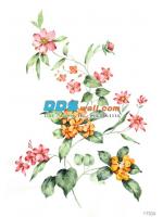 PRINT17-96 ภาพพิมพ์ ลายดอกไม้ สีแดง