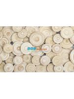 PRINT17-97 ภาพพิมพ์ ลายรูปวงกลม