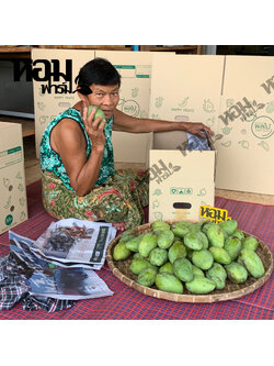 มะม่วง อกร่อง น้ำดอกไม้ เขียวเสวย จ.เพชรบุรี รสหวานหอม เนื้อนุ่มเนียน อร่อย ตัดสดจากสวน โดยหอมฟาร์ม