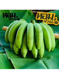 กล้วยหอมทอง จ.เพชรบุรี รสหวานหอม เนื้อนุ่มเนียน อร่อย ตัดสดจากสวน โดยหอมฟาร์ม