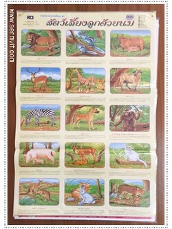 โปสเตอร์ สัตว์เลี้ยงลูกด้วยนม