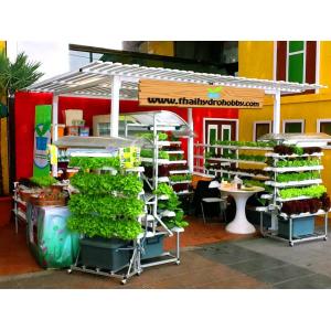 ชุดปลูกสำเร็จรูป Hobby Set