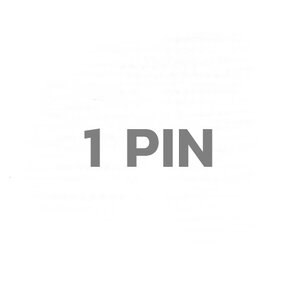 1 PIN