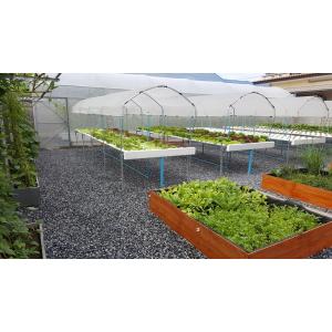 รับทำฟาร์มผักไฮโดร ( SMEs )