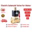 SENYA 220V AC โซลินอยด์วาล์วสำหรับน้ำ อากาศ และน้ำมัน Electric Solenoid Valve for Water แบบปกติปิด (NC) ขนาด 2" (2W500-50)