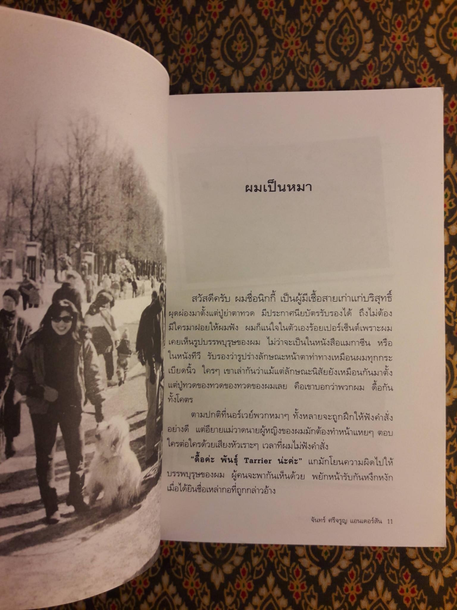 แม่วาดเมียบียอร์น ตอนฟังหมาเล่า