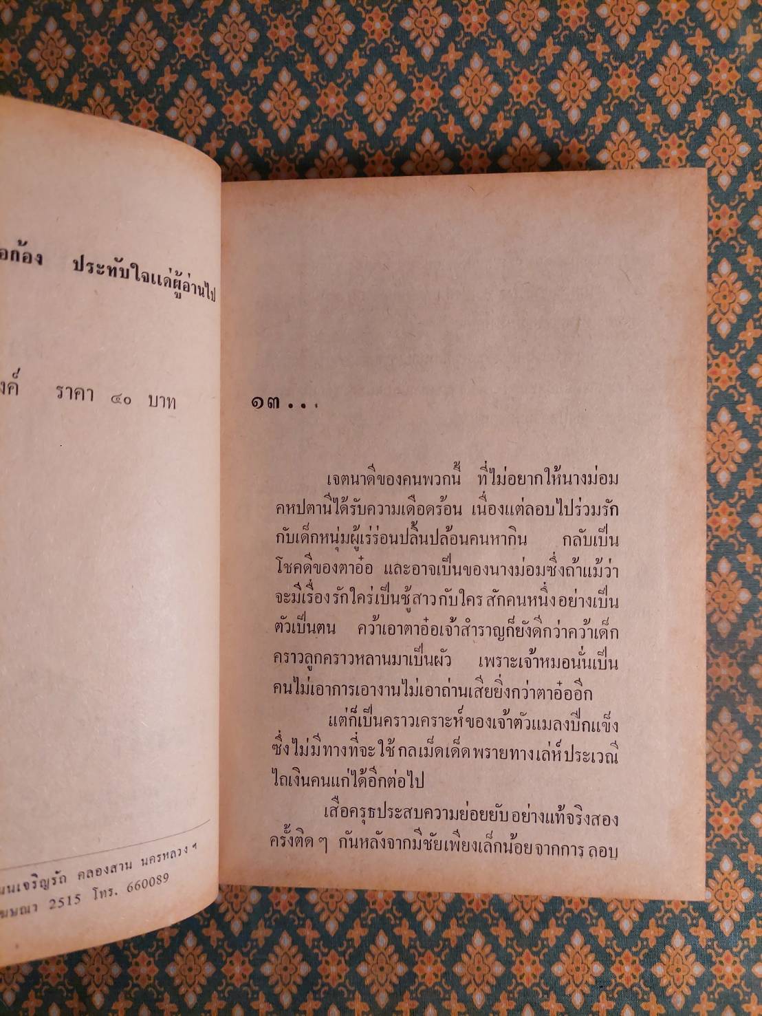 เลือดลูกทุ่ง (2 เล่มจบ)