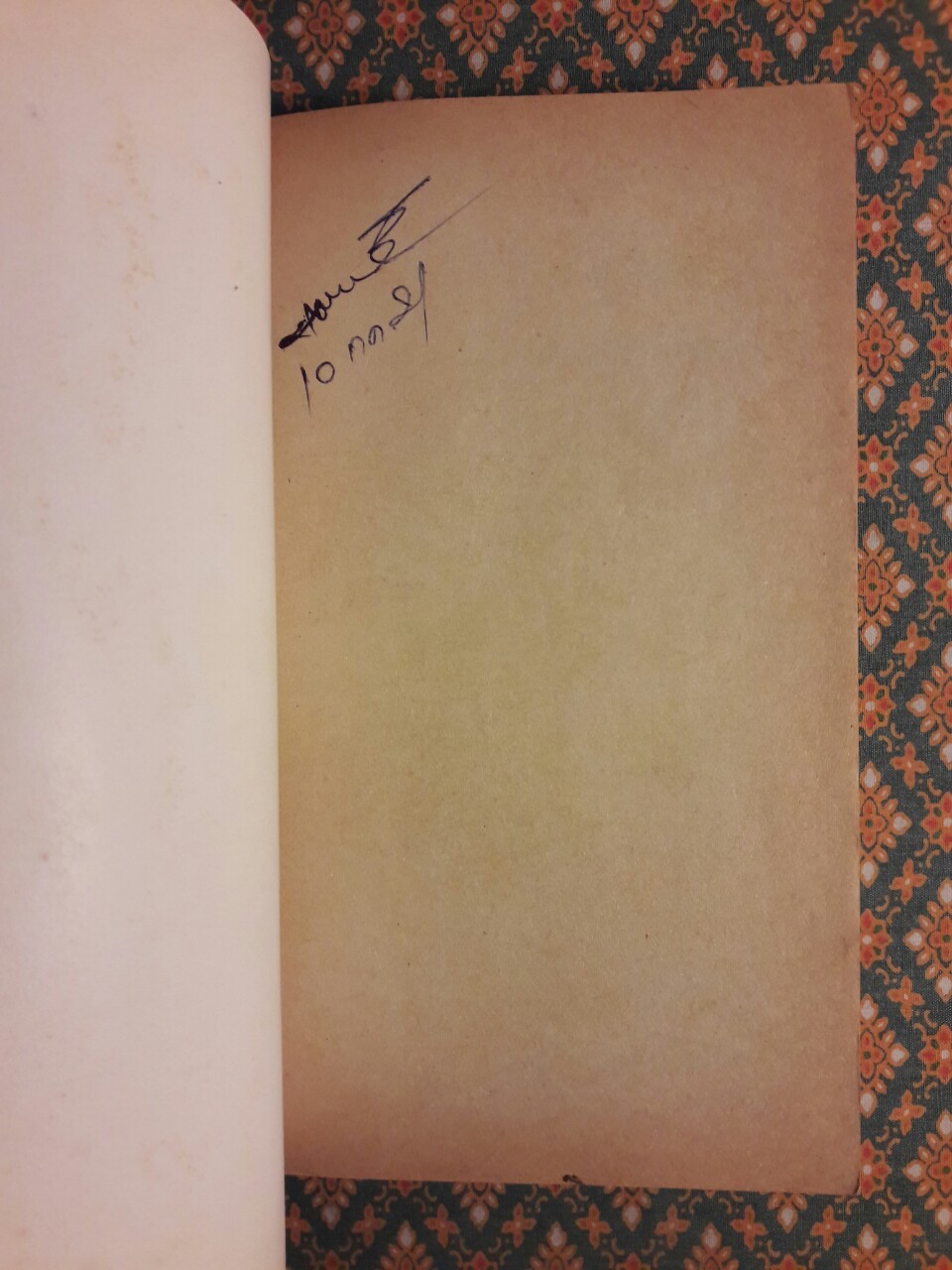 ตุ๋นแหลก The Vulnerable Americans