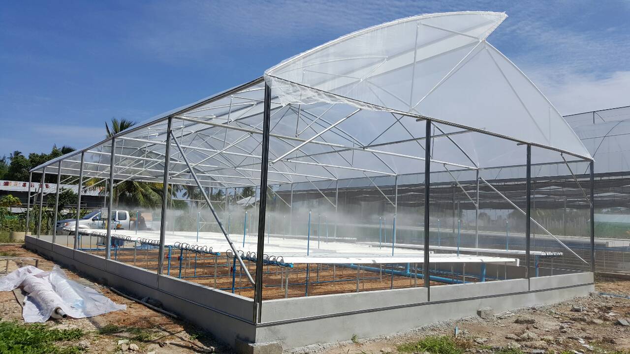 พลาสติกคลุมโรงเรือน (UV Protect Clear Film) ความหนา 200 ไมคอน