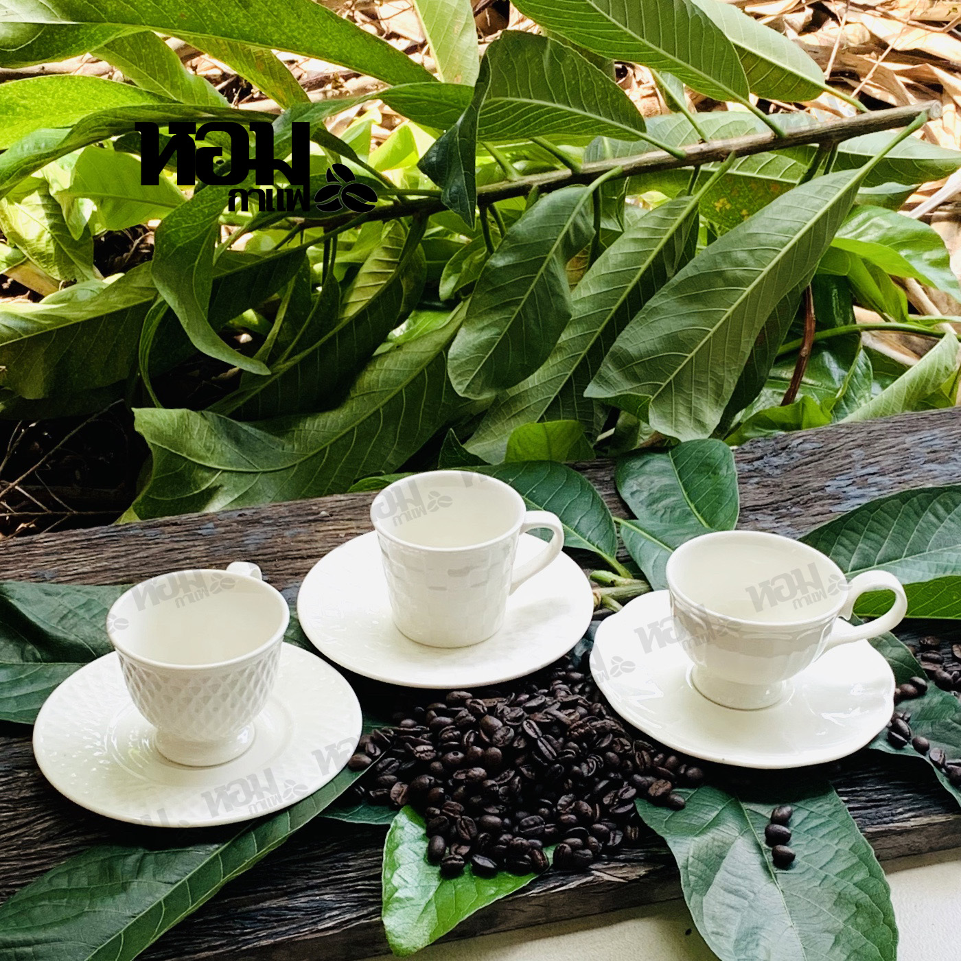 89 บาท แก้วกาแฟเอสเพรสโซ่ ลายคลาสสิค พร้อมจานรอง แก้วกาแฟ แก้วเซรามิค แก้วบาริสต้า แก้วลาเต้ เก็บเงินปลายทางได้