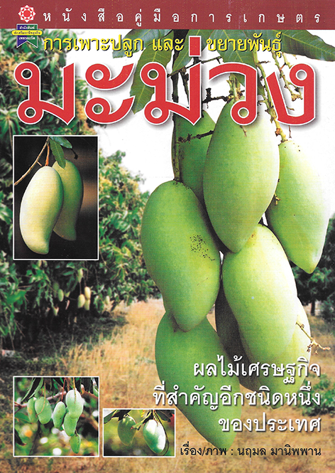 การเพาะปลูกและขยายพันธุ์ มะม่วง