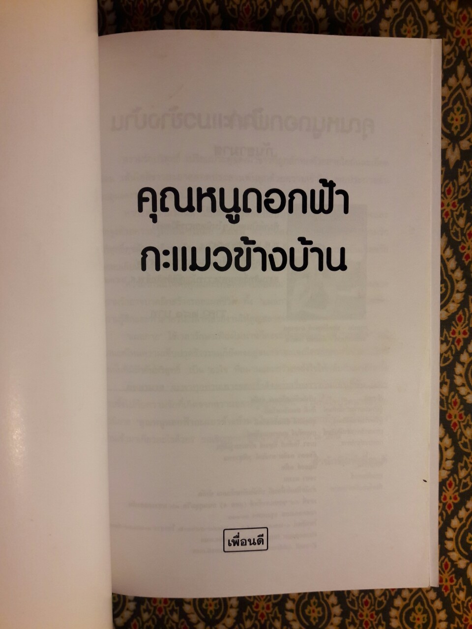 คุณหนูดอกฟ้ากะแมวข้างบ้าน