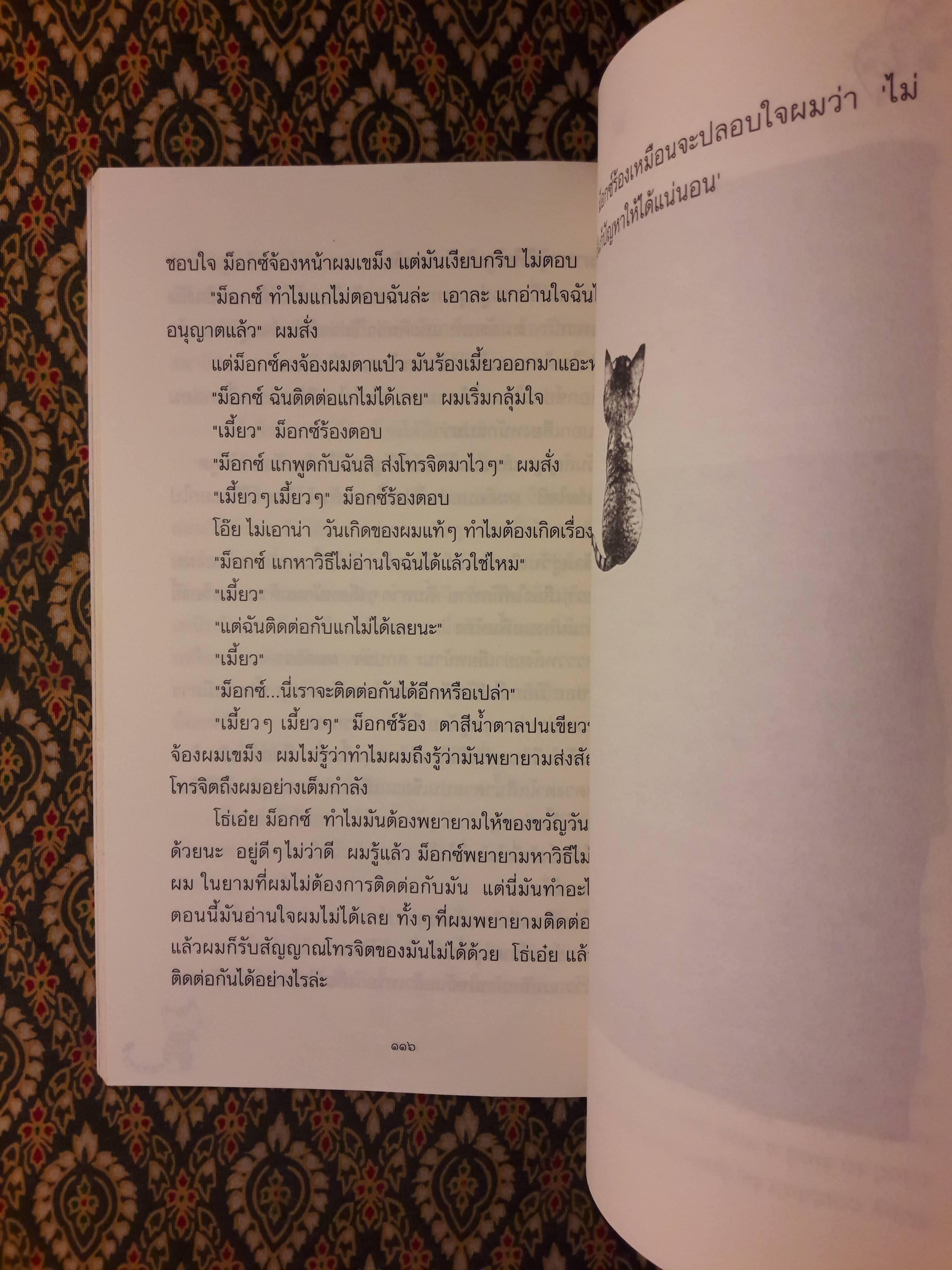 ม็อกซ์ แมวมหัศจรรย์ Mox, the Wonder Cat ฉบับสองภาษา ไทย-อังกฤษ