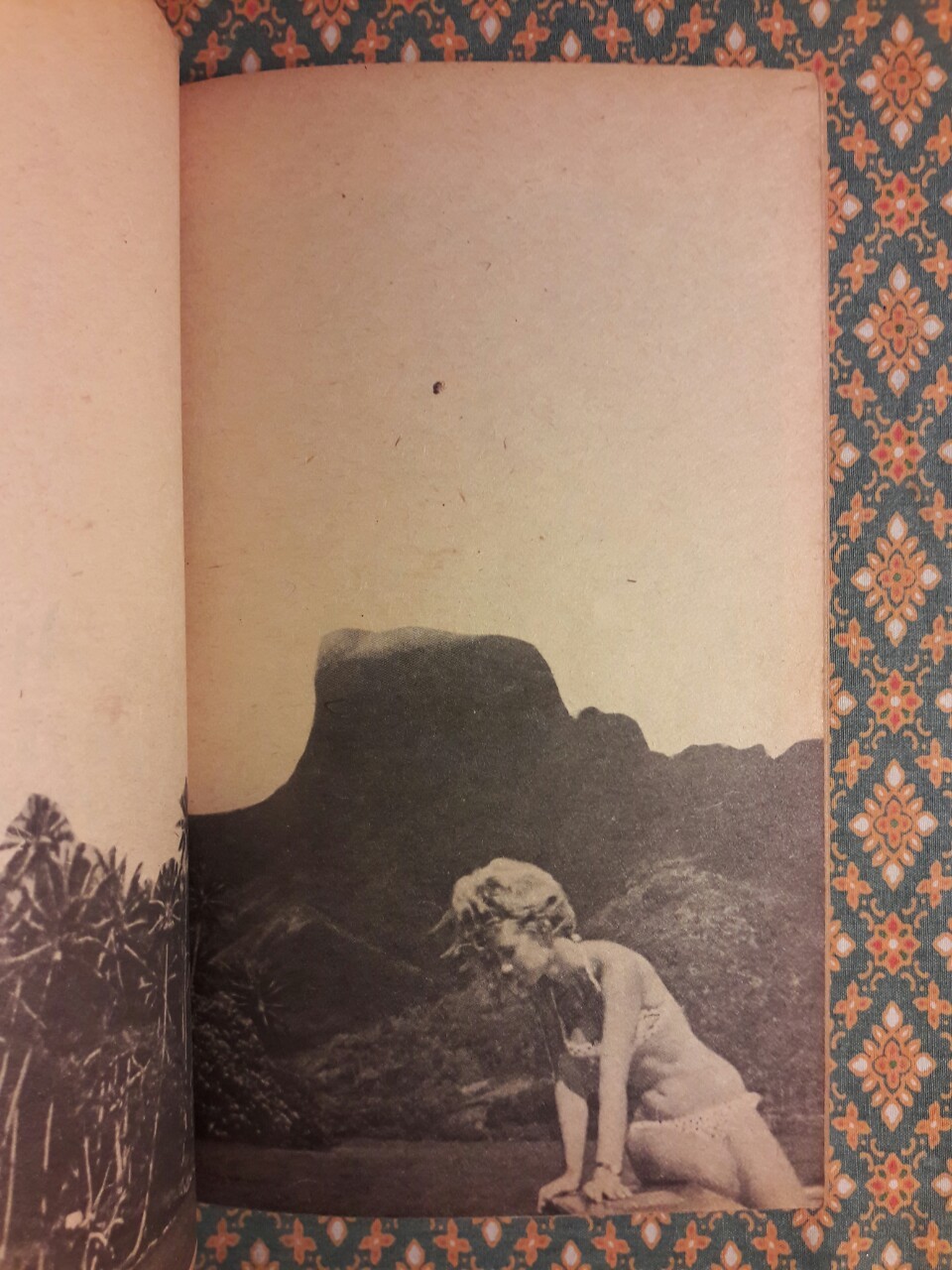 เดี่ยวฮาวาย