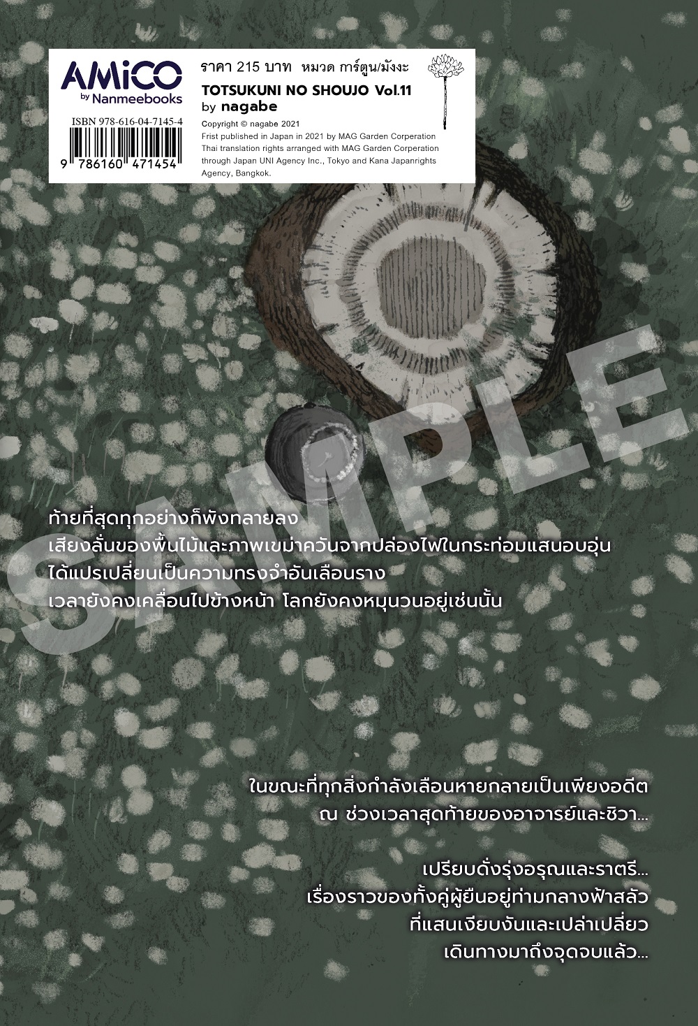 NANMEEBOOKS หนังสือ The Girl from the other side เด็กหญิงอีกฟากฝั่ง เล่ม 11 (จบ) : AMICO