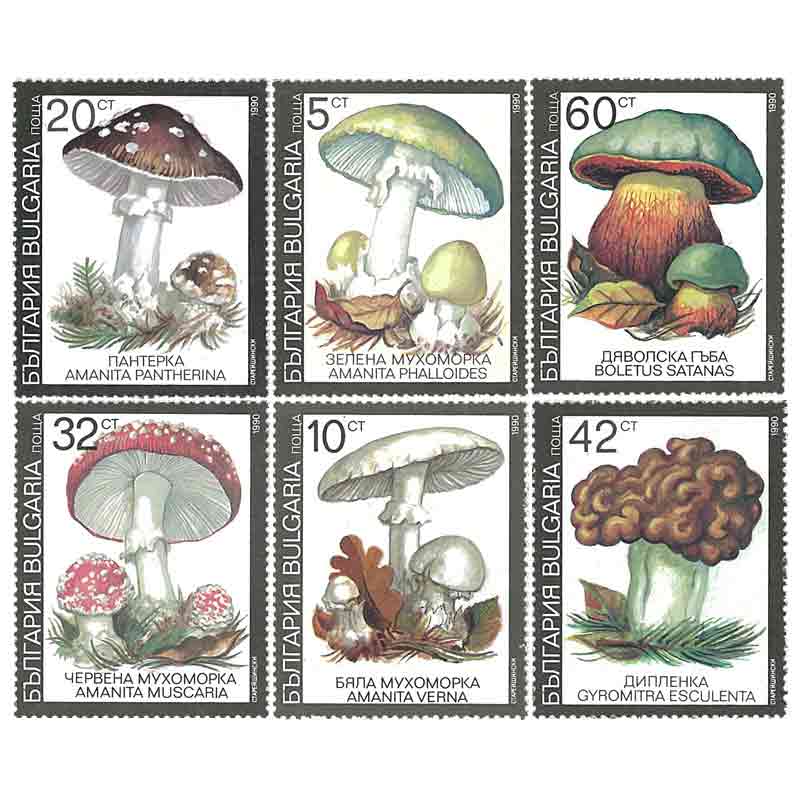 Bulgaria Stamp, Mushroom, Plants