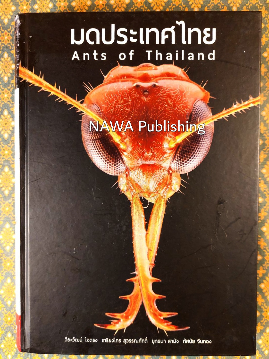 มดประเทศไทย Ants of Thailand