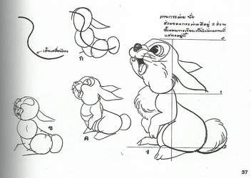 วิธีเขียนภาพสัตว์นานาชนิด