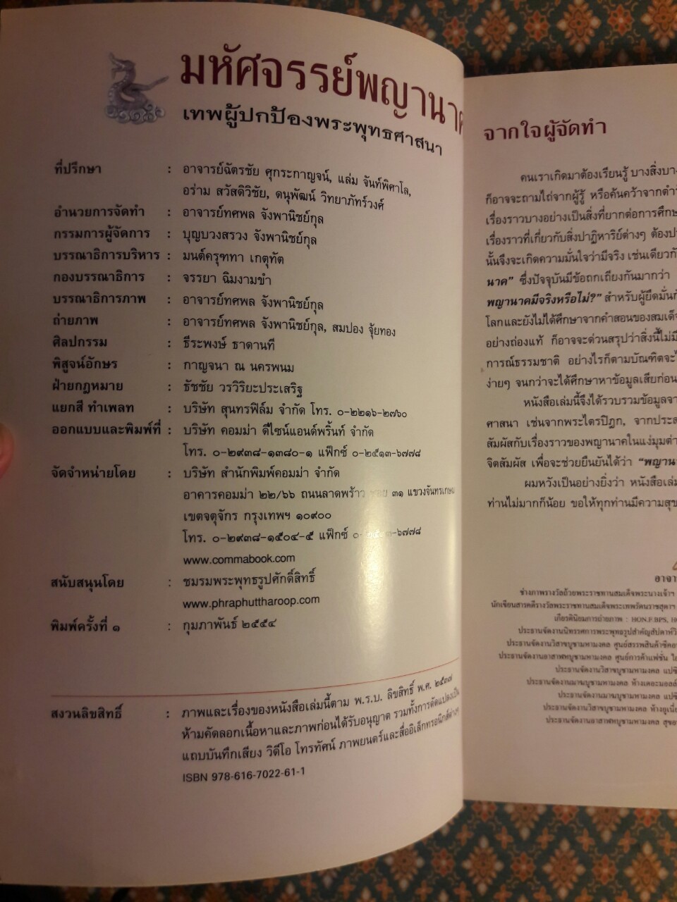 มหัศจรรย์พญานาค