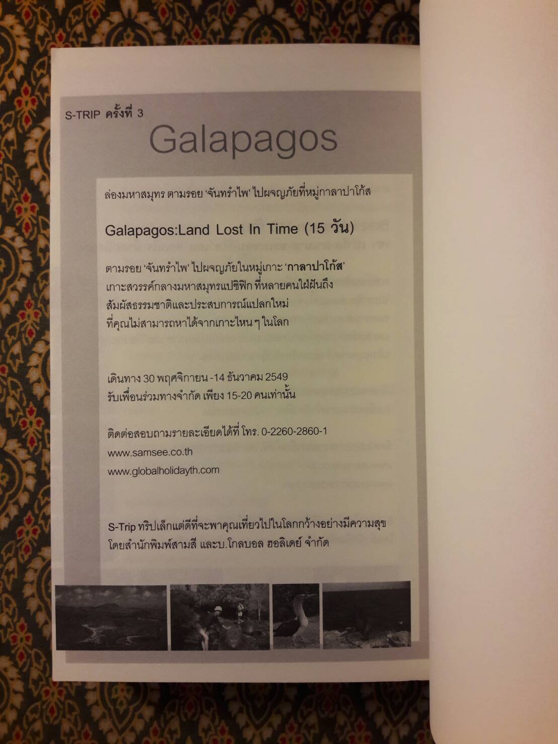 ไม้เท้า น้ำเต้า และเปลือกหอย