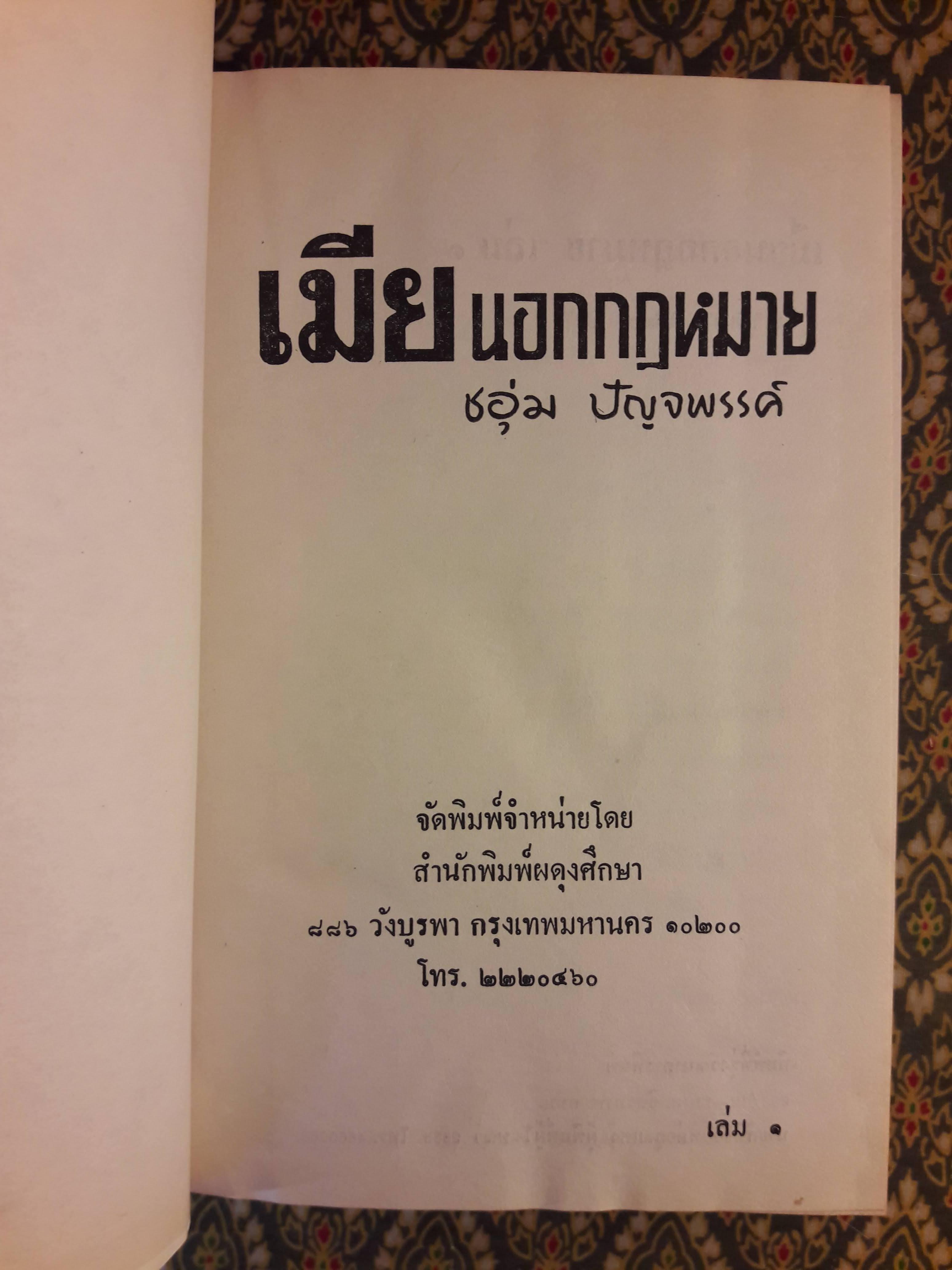 เมียนอกกฎหมาย (2 เล่มจบ)