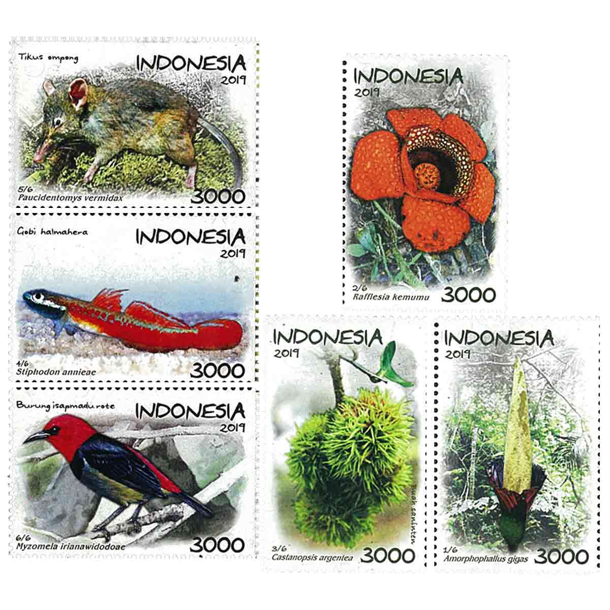 Indonesia Stamp, 2019 Flora & Fauna Stamps