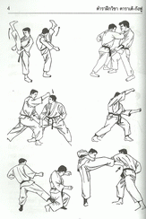 ตำราฝึกวิชาคาราเต้-กังฟู