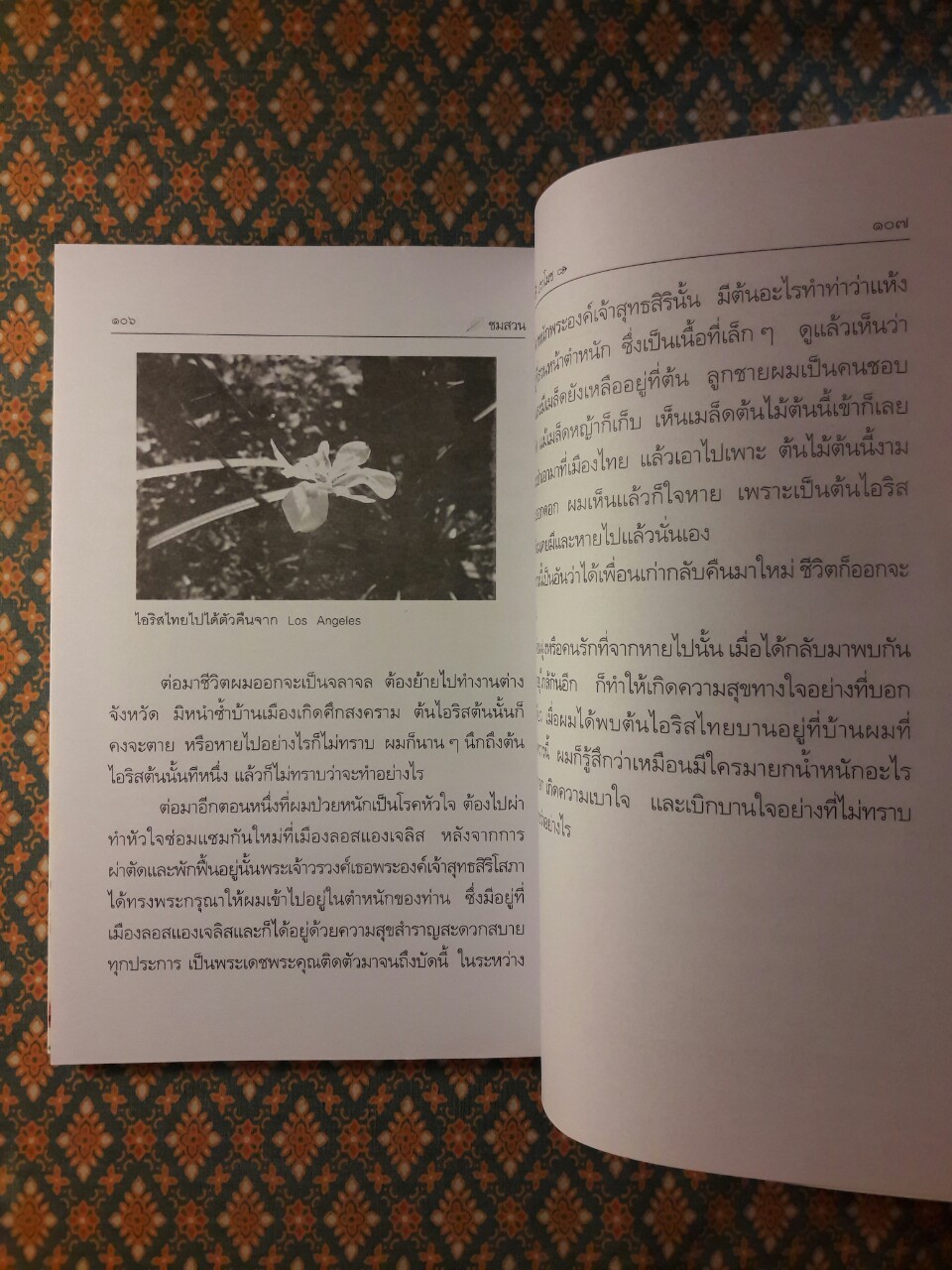 ชุดบทความ ชมสวน