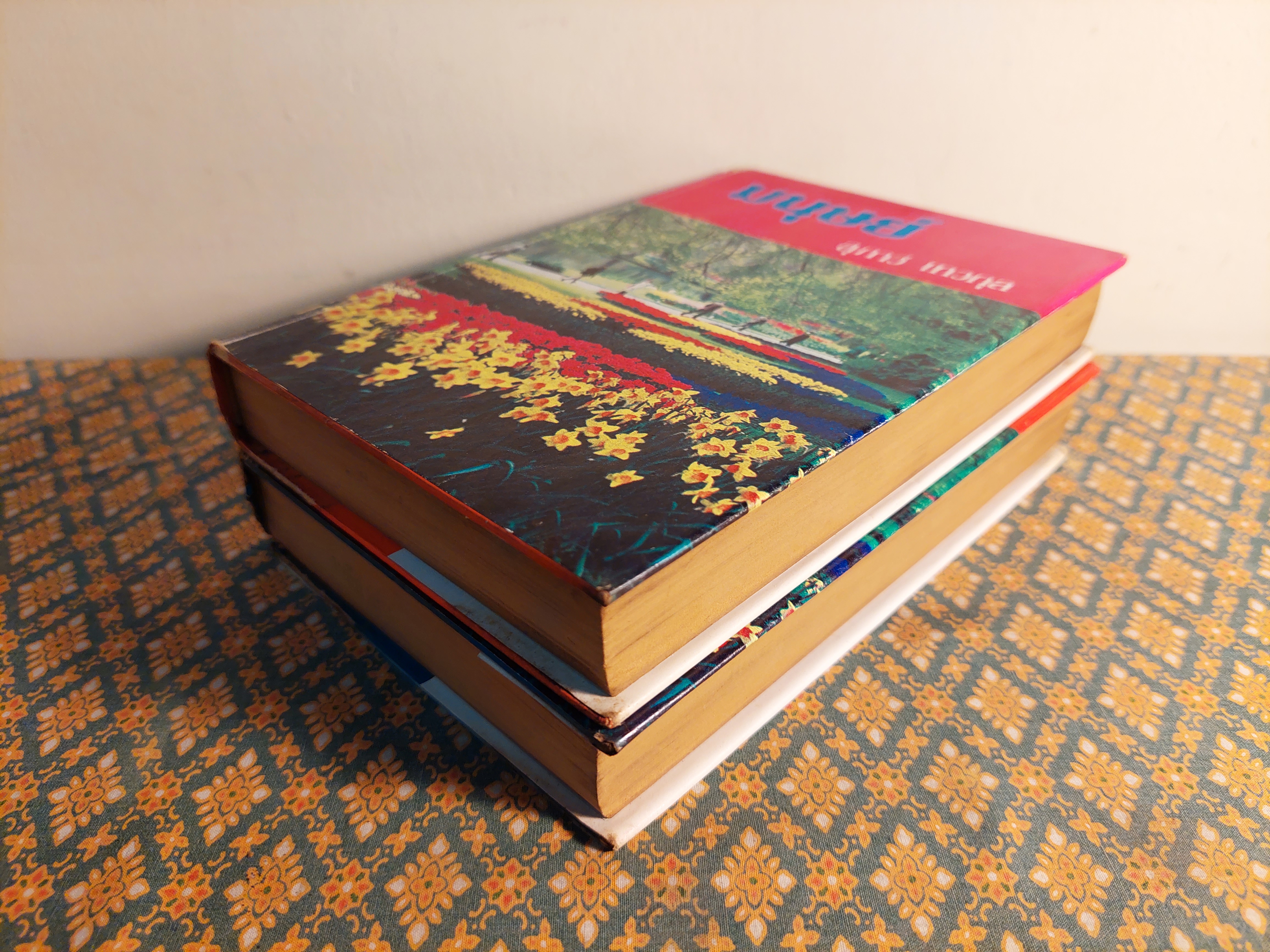 มนุษย์ (2 เล่มจบ)