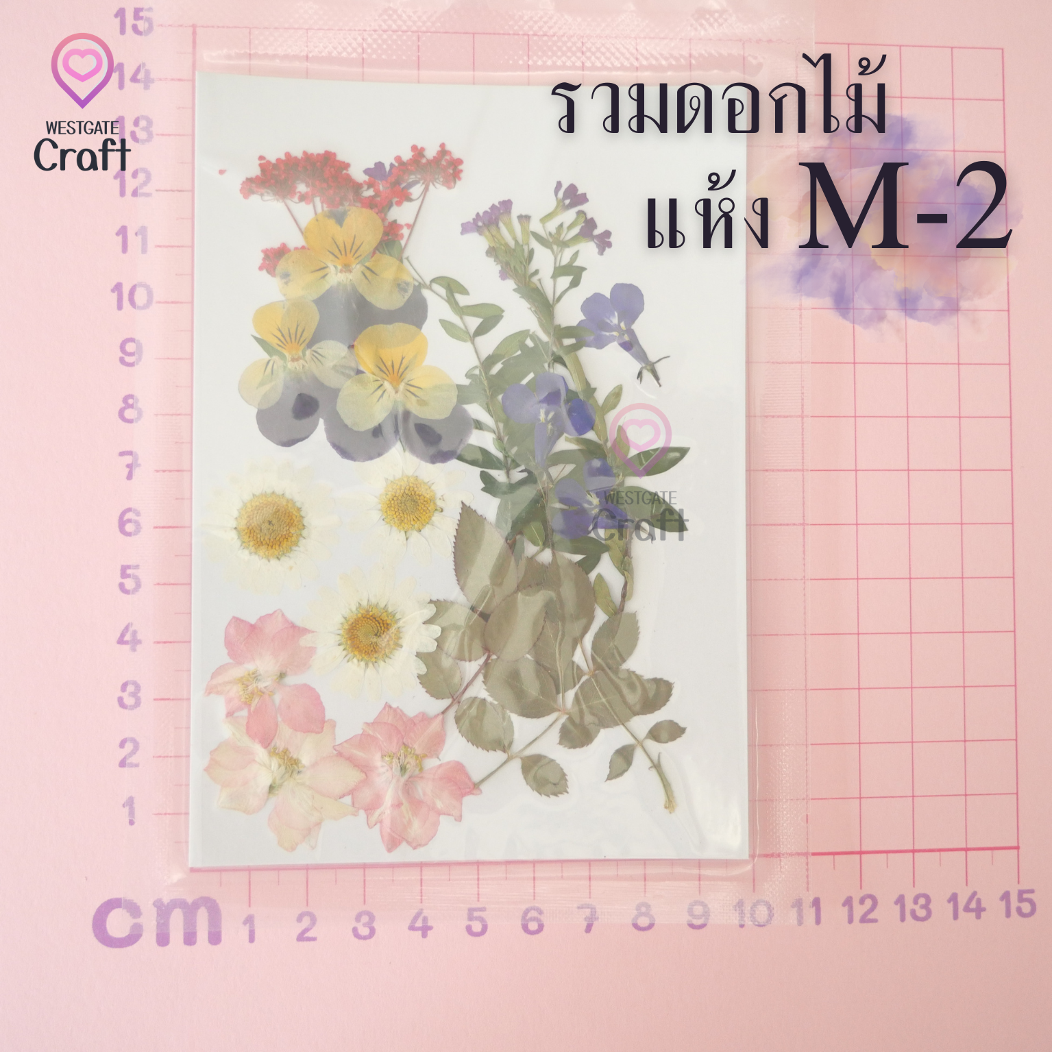 รวมดอกไม้แห้ง M ดอกไม้แห้งทับ ดอกไม้แบบคละ