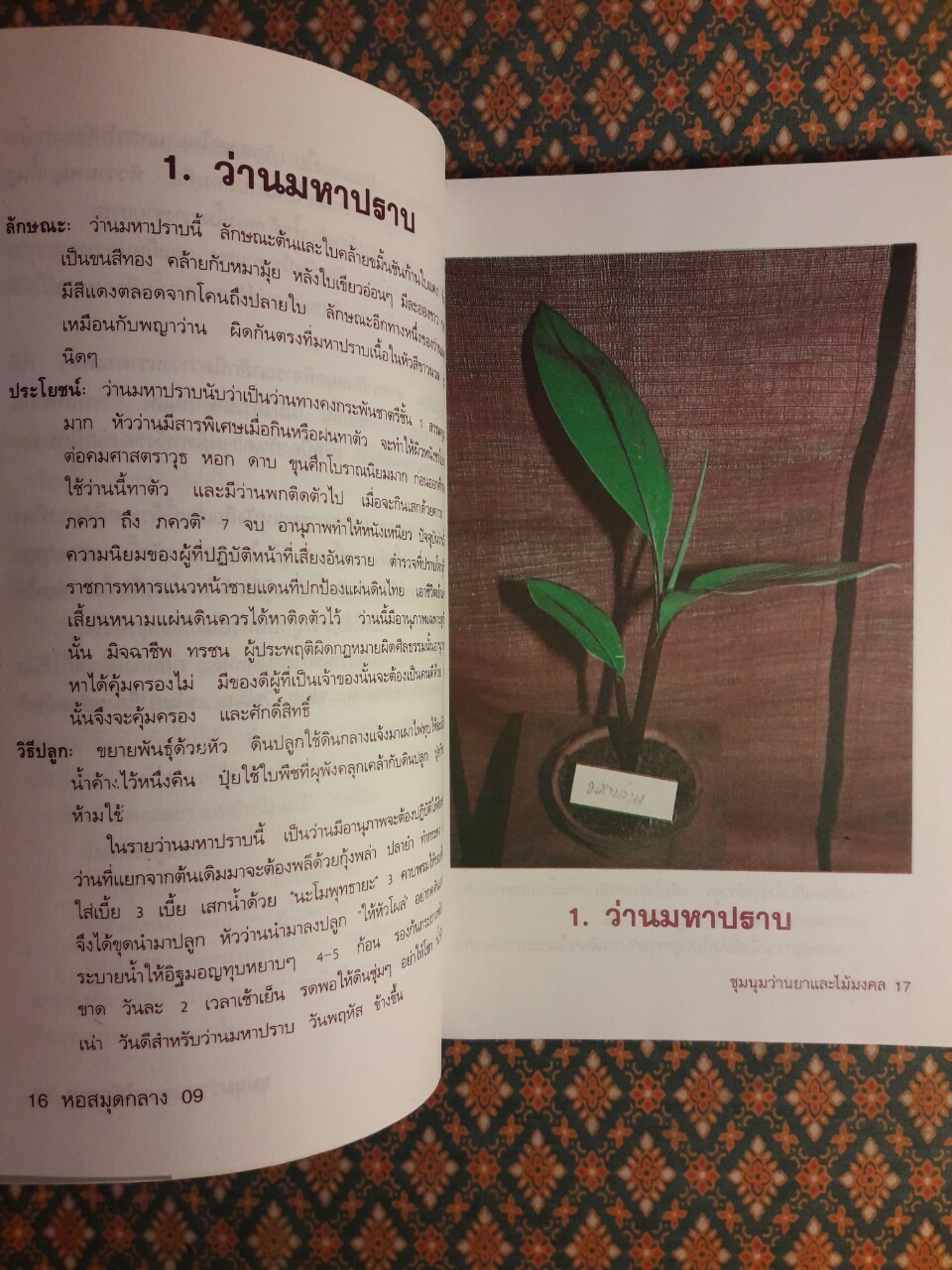 ชุมนุมว่านยาและไม้มงคล