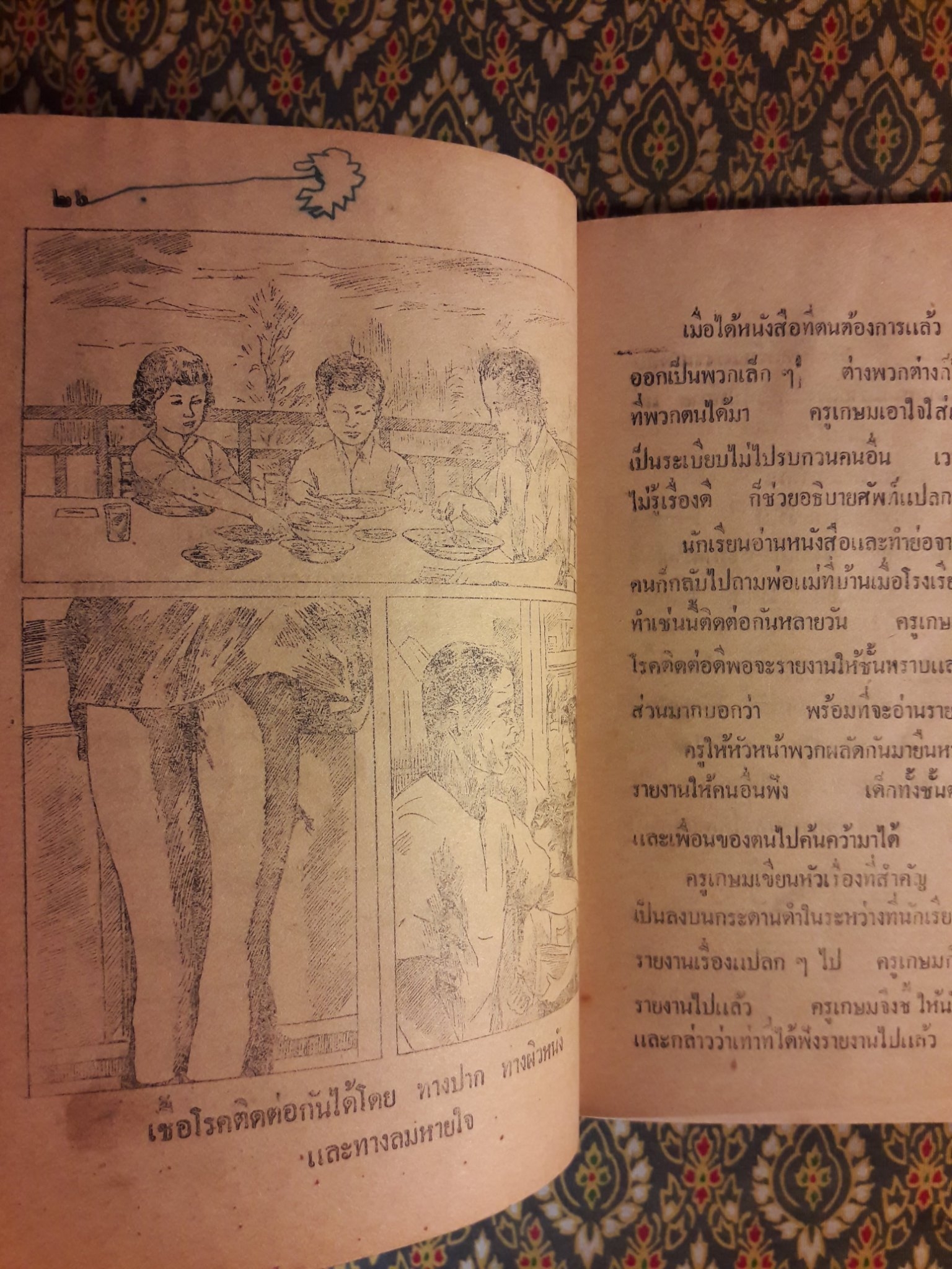 สุขศึกษา ชั้นประถมปีที่ 4