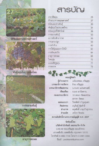 การปลูกและขยายพันธุ์องุ่น