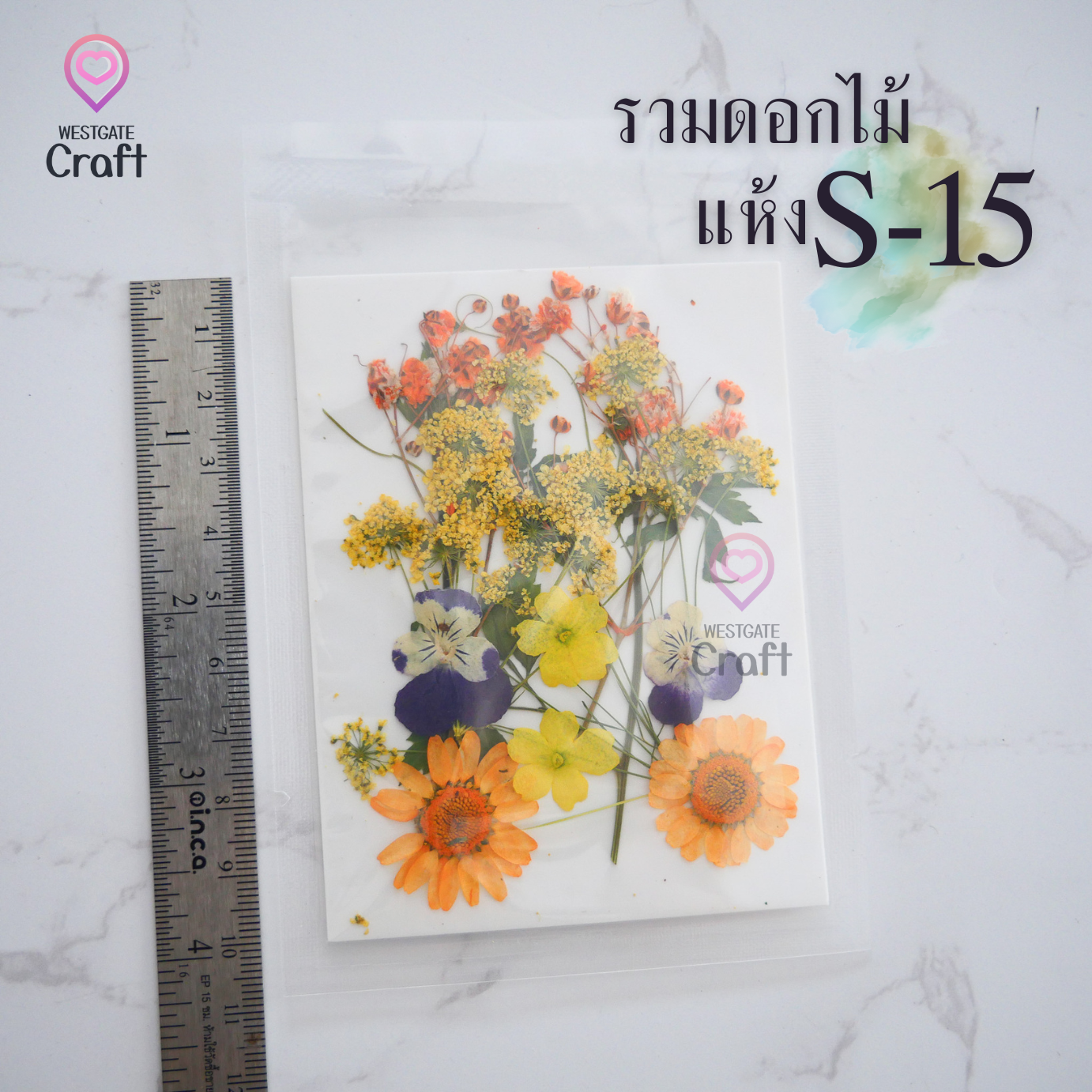 รวมดอกไม้แห้ง S ดอกไม้แห้งทับ ดอกไม้แบบคละ