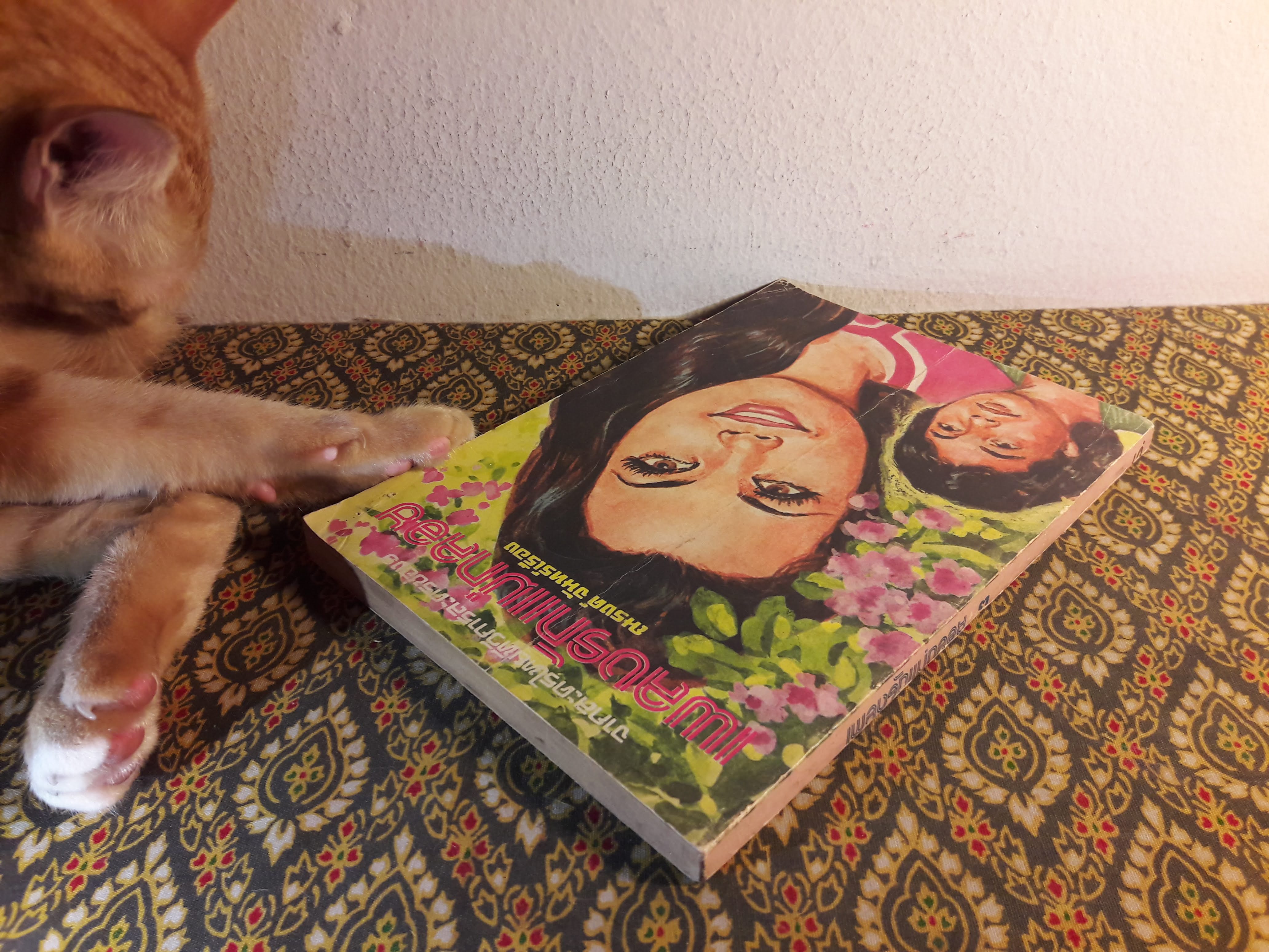 เพลงรักแม่กลอง เล่ม 3 ตอนเทพบุตรสลัม