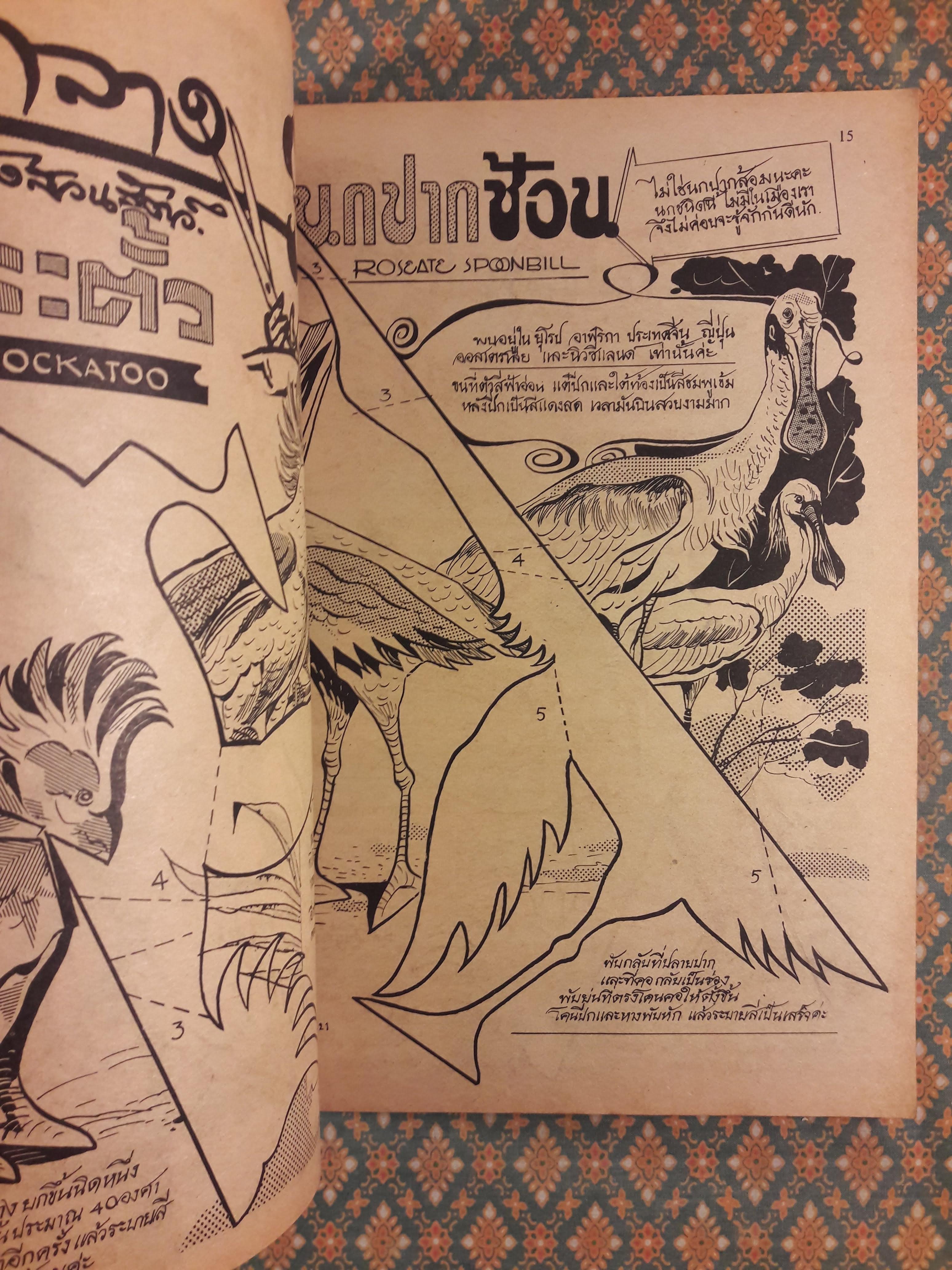 ฟ้านารี ฉบับที่ 18 มิถุนายน 2521