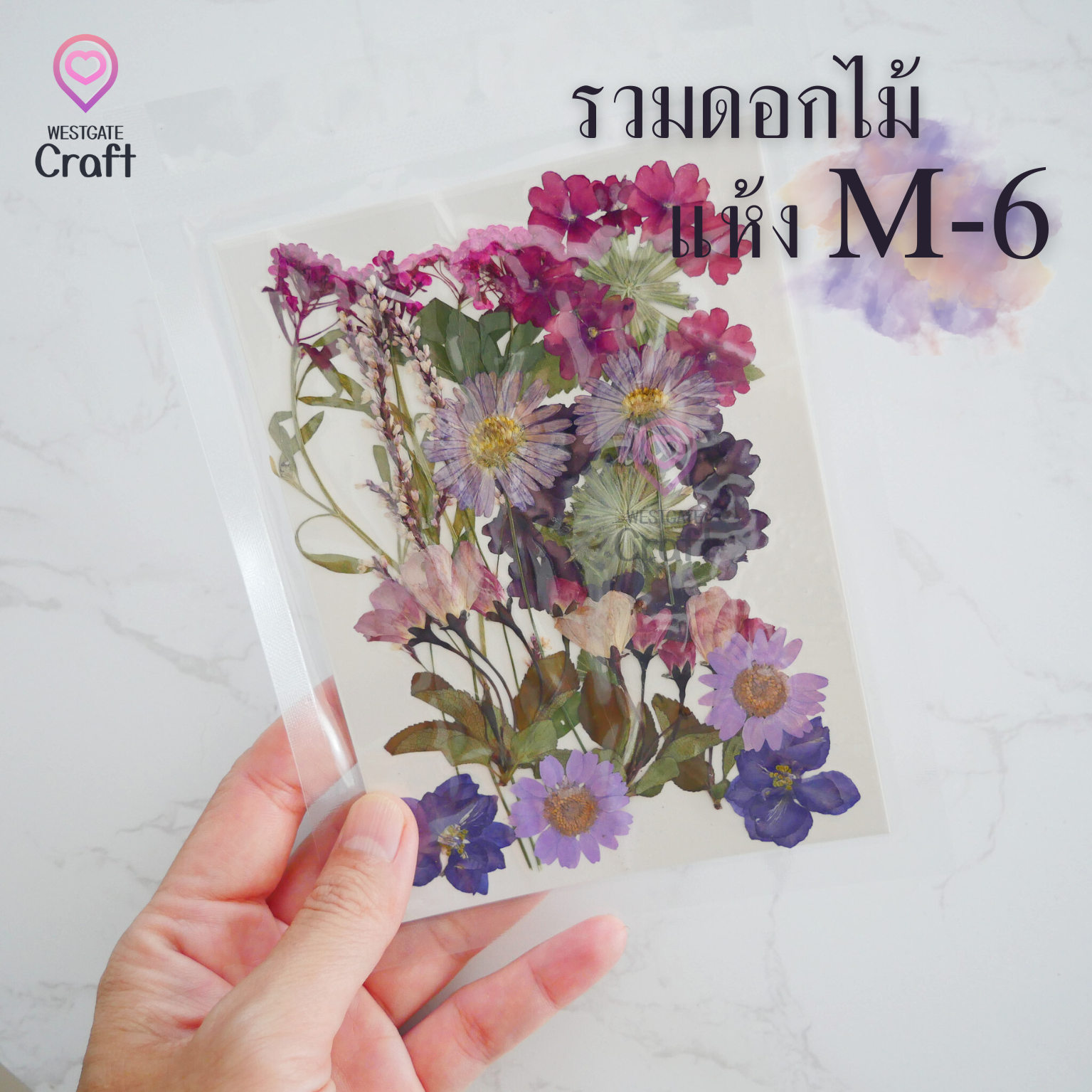 รวมดอกไม้แห้ง M ดอกไม้แห้งทับ ดอกไม้แบบคละ