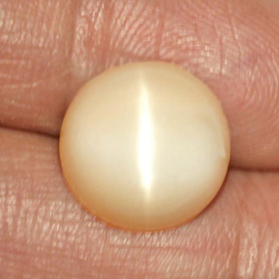 **ขายแล้ว**มูนสโตนตาแมว หรือ มุกดาหารตาเเมว (Cat's eye Moonstone) 9.04 กะรัต สีส้ม เนื้อเนียน มีตาเเมว