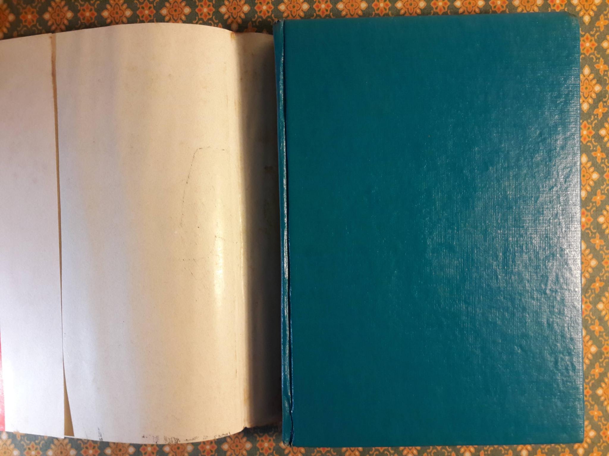 ซัดกันจนแหลก