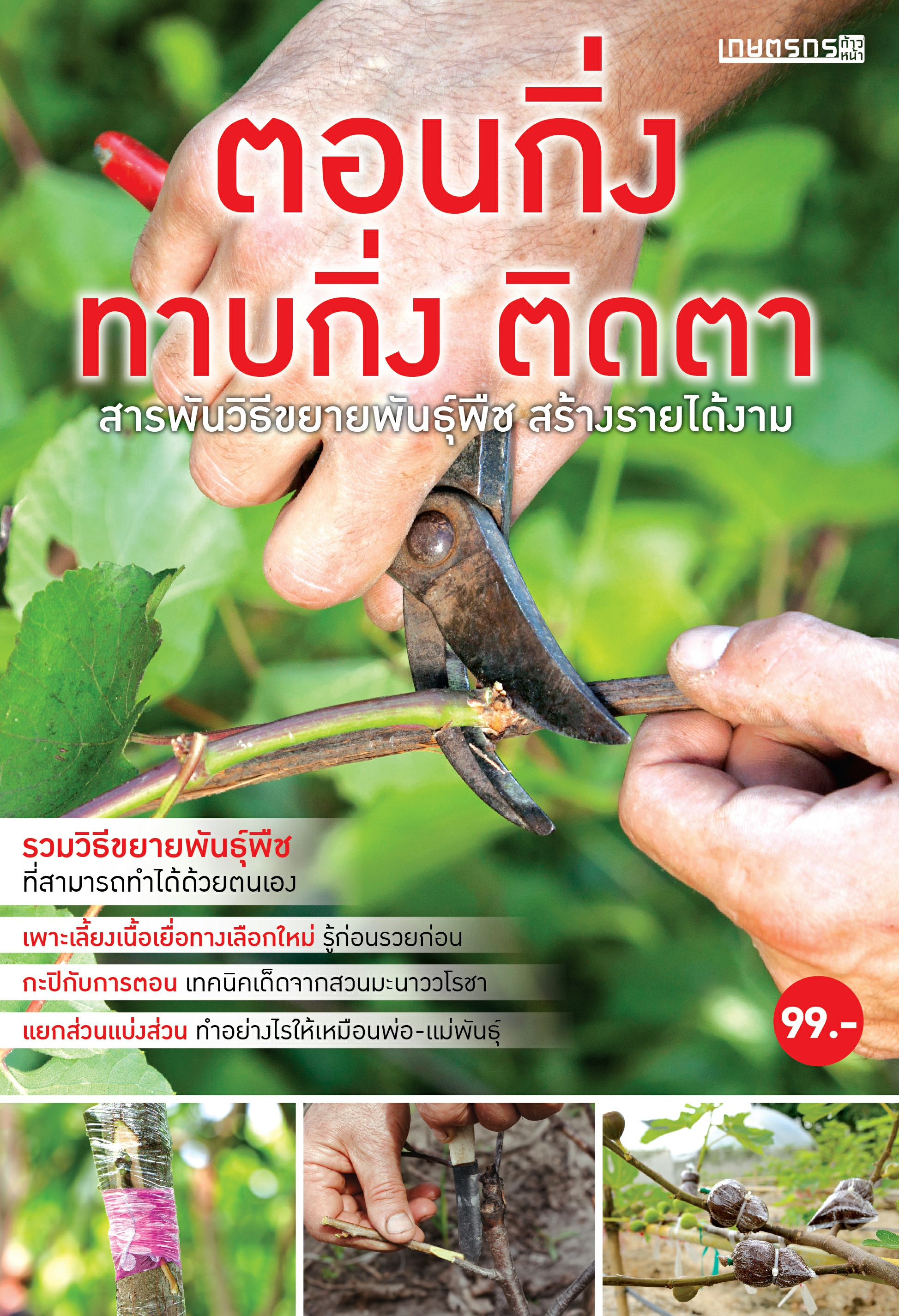 ตอนกิ่ง ทาบกิ่ง ติดตา