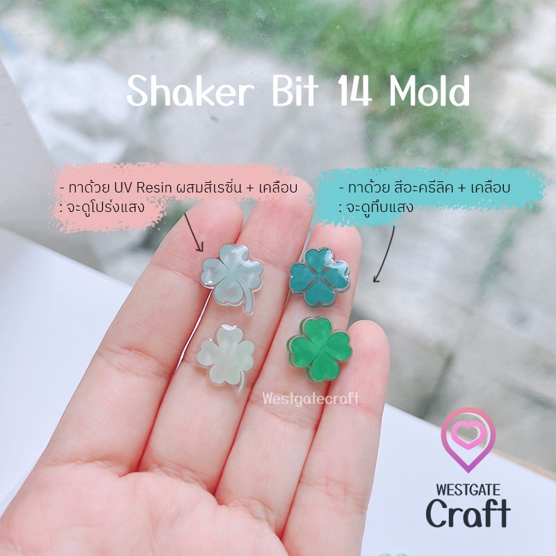 แม่พิมพ์เรซิ่น Shaker Bit 14 Mold