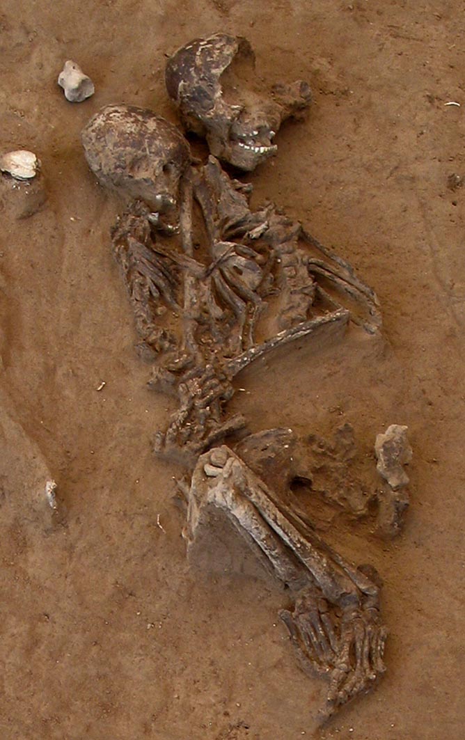 RiverBooks หนังสือประวัติศาสตร์ : Digging Deep