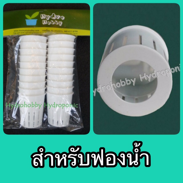 ถ้วยเพาะปลูกสีขาวใช้ซ้ำได้สำหรับฟองน้ำ