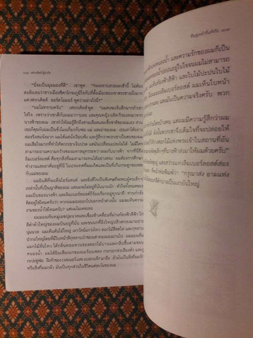 เฟรกเคิลส์ ผู้อาภัพ Freckles