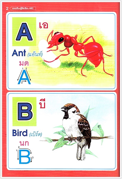 แบบเรียนรู้คัดเขียน ABC