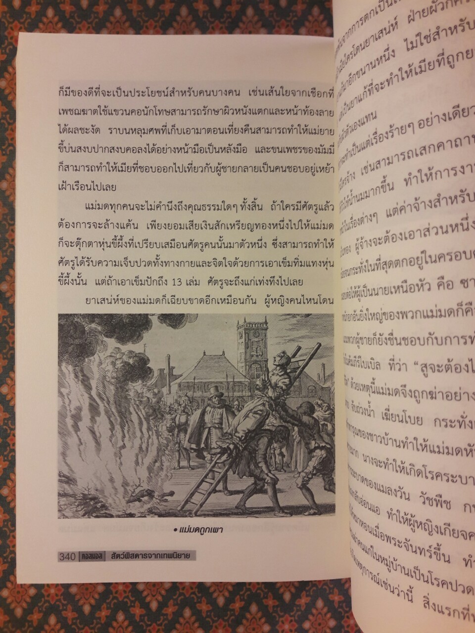 สัตว์พิสดารจากเทพนิยาย