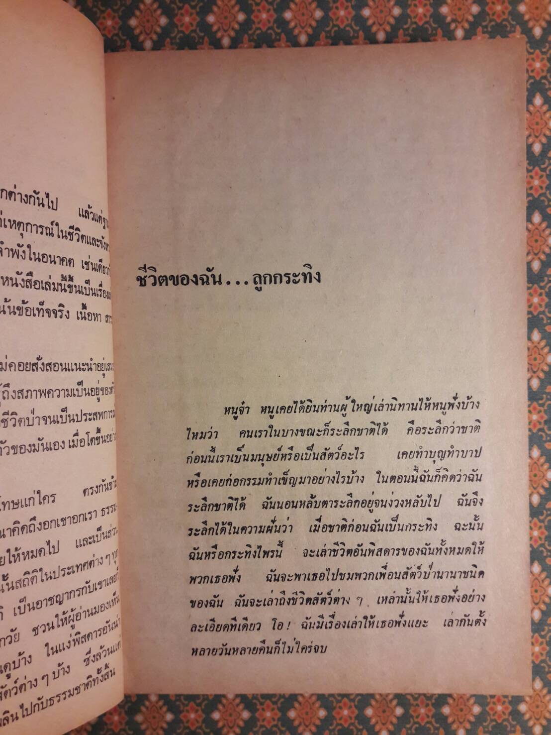 ชีวิตของฉันลูกกระทิง “หนังสือดี 100 ชื่อเรื่อง ที่เด็กและเยาวชนไทยควรอ่าน”