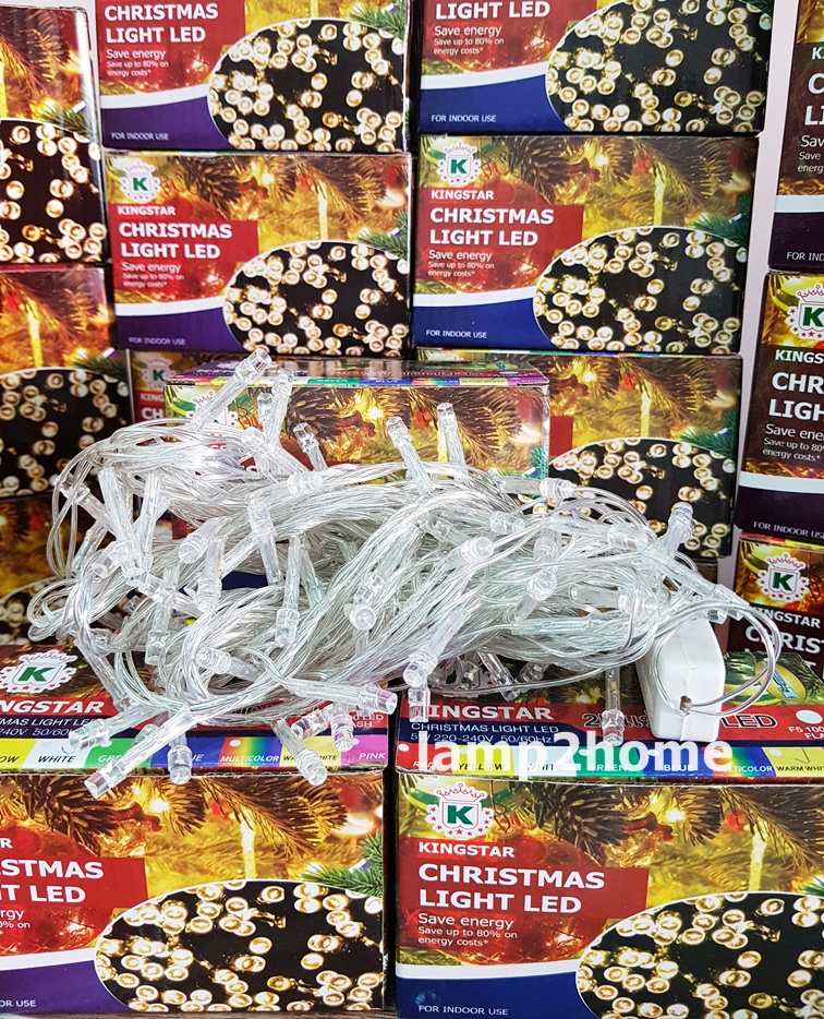 ไฟคริสต์มาส LED 100 หัว (แบบนิ่ง-แบบกระพริบได้)