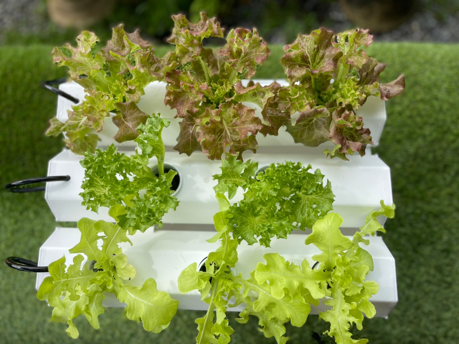 ชุดปลูกผักไฮโดรโปนิกส์ 45 cm. set