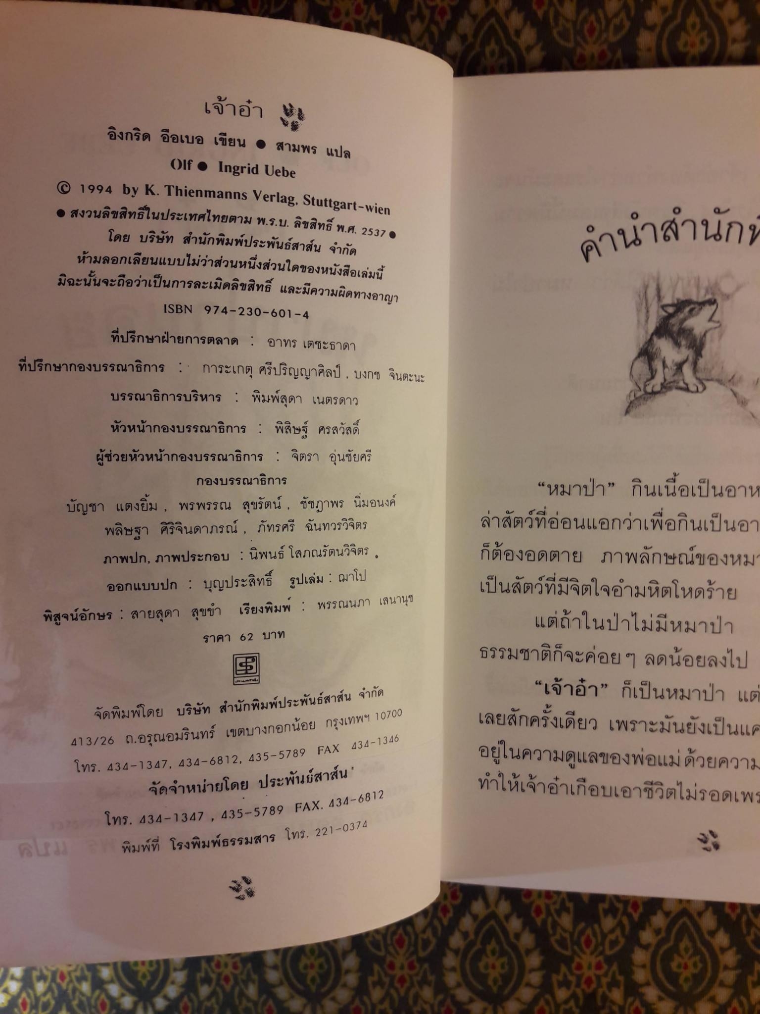 เจ้าอ๋าหมาป่าน้อย